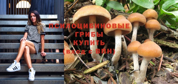 PSILOCYBIN Верея