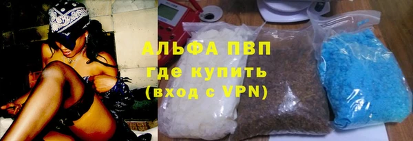 PSILOCYBIN Верея