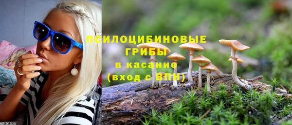 трава Верхний Тагил